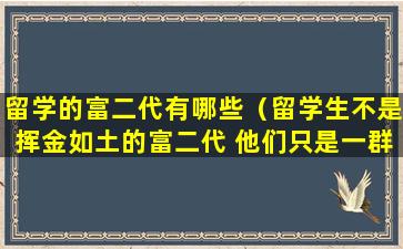 留学的富二代有哪些（留学生不是挥金如土的富二代 他们只是一群孤独）